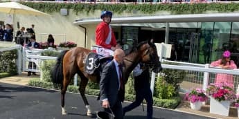 Chancellor’s Plans on Hold After Minor Injury During Stalls Test