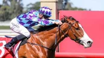 Cranbourne Cup Day Disrupted by On-Site Fire Emergency