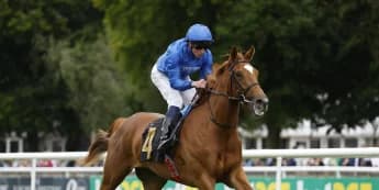 "Elegant Juvenile Fillies Set for May Hill Showdown"