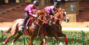 "Shin Emperor Aims for Irish Champion Stakes and Arc Glory"