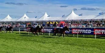 Jan Brueghel Stretches Unbeaten Run with St Leger Glory in Heart-Pounding Race