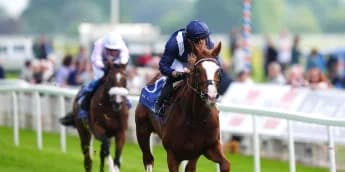 Plans fluid for Economics, but Haggas outlines potential routes