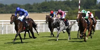 Exciting options open to Wolf Of Badenoch after Goodwood