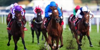 Desert Flower blooms in impressive May Hill success