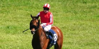 Seven Questions supplemented for King Charles after impressing George Scott