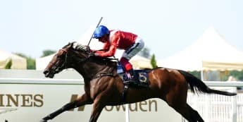 Prince of Wales’s stamina test proves too much for Inspiral on the day