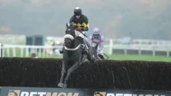 Exeter Racing Set to Proceed Despite Challenging Weather