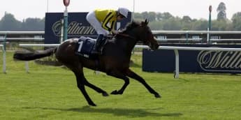 "Racing Dreams Alive: Ambiente Friendly Ready for Juddmonte Showdown"