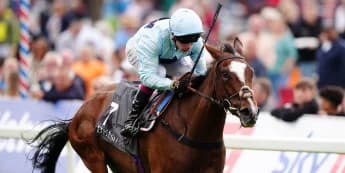 Scenic view is a Galtres delight for Ed Walker