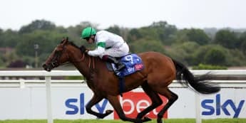 "Tamfana Dazzles in Sandown: What’s Next for This Multi-Talented Star?"