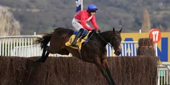 Star chaser Allaho retired