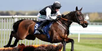 Flooring Porter fails to sparkle in Killarney chase