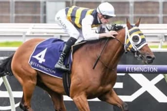 Onesmoothoperator Seeks Melbourne Cup Spot at Geelong