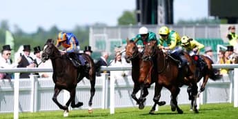 Auguste Rodin heads 11 confirmations for King George