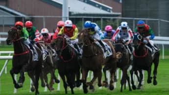 Sha Tin Racecourse Aims to Attract Younger Racegoers