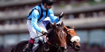 Royal Ascot heroine Asfoora heading home to Australia