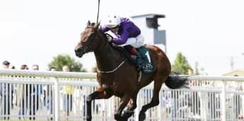 Bucanero Fuerte likely to head for Sprint Cup at Haydock