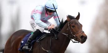 Pandora’s Gift Eyes Further American Ventures After Narrow Defeat in Presque Isle Downs Masters Stakes