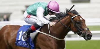 Lyons believes Babouche is good fit for Phoenix test