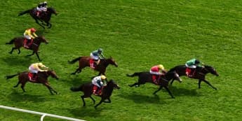 Tutty's Blue Storm Targets Beverley Bullet Success Despite Preparations Setback