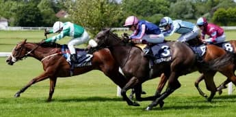 Adaay in the sun well deserved for teak-tough Millman filly