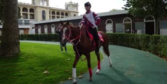 All systems go for Shin Emperor at Leopardstown