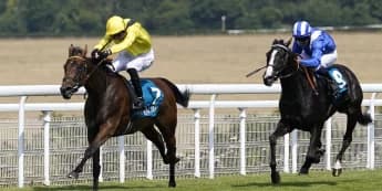 Raqiya camp facing conundrum over suitable next step