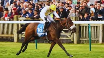 Controversy Erupts After Alphonse Le Grande's Cesarewitch Win