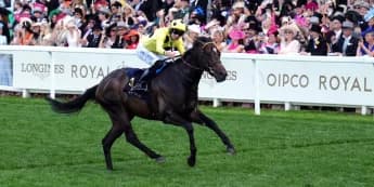 Inisherin freshened up and raring to go in search of Sprint Cup glory