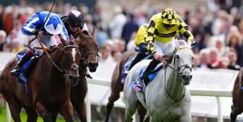 "York Glory: How James Doyle's Precision Ride Led Shadow Dance to Victory!"