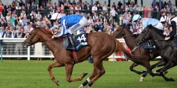 Billy Loughnane Shines with Hat-Trick Triumph at Ayr