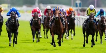 James Owen Eyes Bright Future for Wimbledon Hawkeye After Promising Acomb Stakes Performance