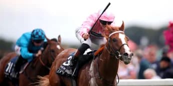 Sandown Charge still on the agenda for Live In The Dream