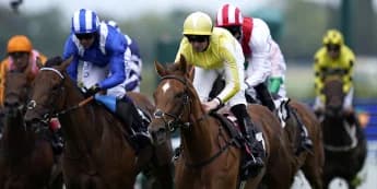 "Racing Drama Unfolds: Choisya's Late Surge Shocks Favorite Indelible in Haydock Showdown"