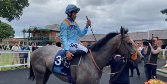 Shouldvebeenaring Set for Another Betfred Sprint Cup Bid After Strong York Performance