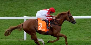 Charlton upbeat on King’s Gambit’s Hampton hopes