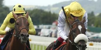 Irish Derby runner-up Sunway primed for King George challenge