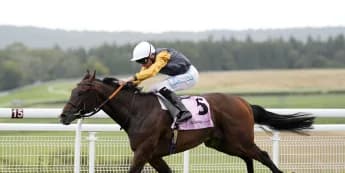 Witness Stand Dominates Dubai Duty Free Cup at Newbury