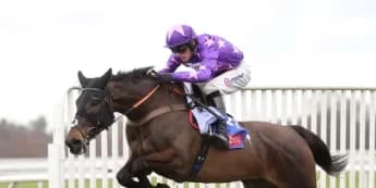 Paul Nicholls Aims for Elite Hurdle Repeat with Rubaud