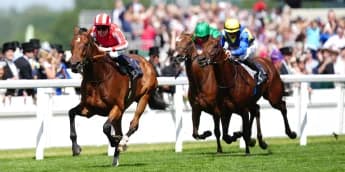 ‘He’s ready to go’ – Goliath taking on King George giants