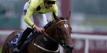 Elite Status too good for Hackwood field