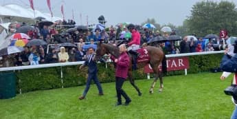 Goodwood return on the cards for Facteur Cheval