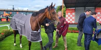 Lake Victoria adds to Ballydoyle juvenile riches at the Curragh