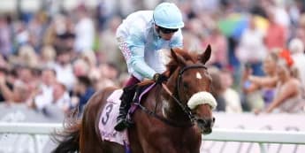 Giavellotto likely done for the term after Irish St Leger third