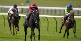 Eydon Aims for Redemption at Newmarket in James Seymour Stakes