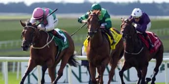 Babouche foils Whistlejacket to take Phoenix Stakes and stay unbeaten