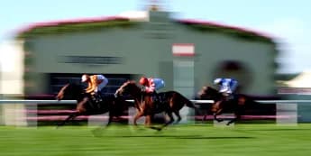 Charlton rues the one that got away with King’s Gambit a York possible