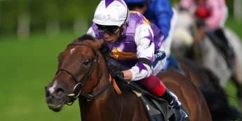 Kinross to Target Doncaster's Park Stakes After Sidestepping York Hat-Trick Bid