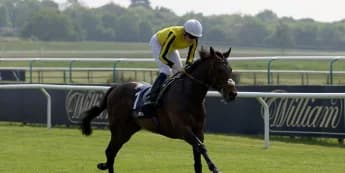 Ambiente Friendly in good shape following York disappointment