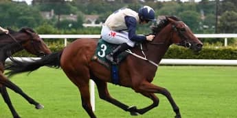 Chantez on song for Leopardstown Listed strike